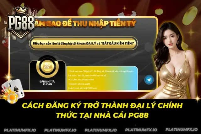 Hợp tác đại lý được triển khai theo quy trình minh bạch